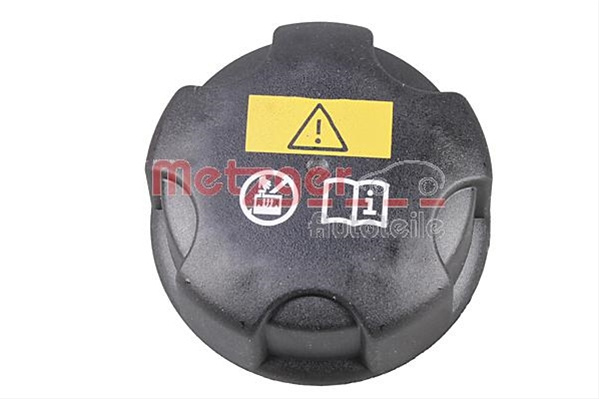 Buson,vas Expansiune Metzger Bmw 2140104