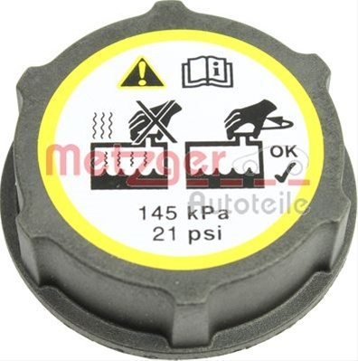Buson,vas Expansiune Metzger Ford 2140067