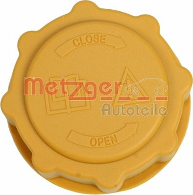Buson Vas Expansiune Metzger Ford 2140147