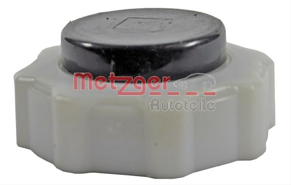 Buson,vas Expansiune Metzger Opel 2140105