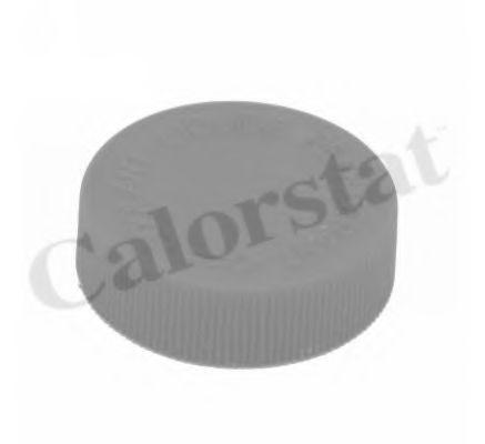 Buson,vas expansiune NISSAN PATHFINDER II (R50) (1995 - 2004) CALORSTAT by Vernet RC0184 piesa NOUA