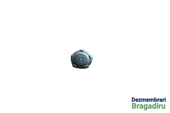 Buson vas expansiune Renault Clio 2 [facelift] [2001 - 2005] Hatchback 3-usi 1.4 MT (98 hp)