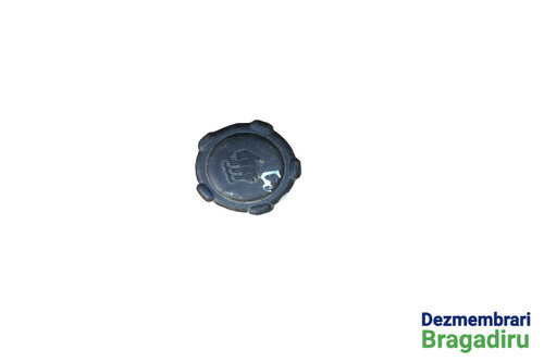Buson vas expansiune Renault Clio 3 [2005 - 2009] Hatchback 5-usi 1.4 MT (98 hp)