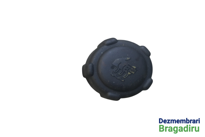 Buson vas expansiune Renault Laguna 2 [2001 - 2005] Grandtour wagon 1.9 DCi MT (120 hp) Cod motor F9Q-C7-50