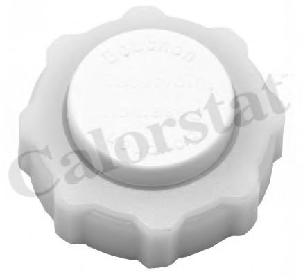 Buson,vas expansiune RENAULT MASTER I caroserie (T) (1980 - 1998) CALORSTAT by Vernet RC0013 piesa N...