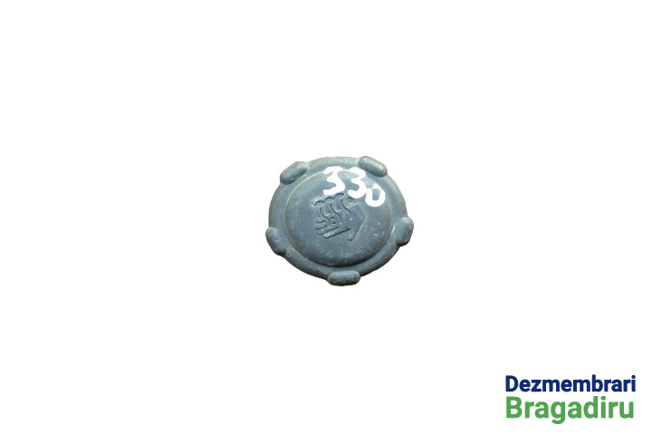 Buson vas expansiune Renault Megane 2 [2002 - 2006] Hatchback 3-usi 1.9 dCi MT (120 hp) II (BM0/1_ CM0/1_)