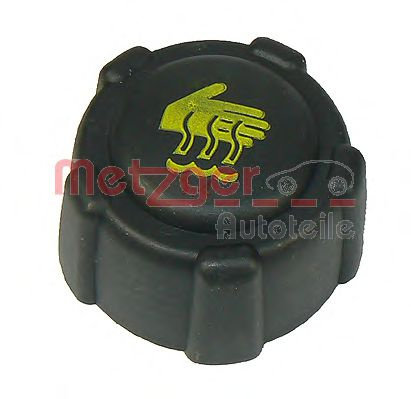 Buson,vas expansiune RENAULT MEGANE I Scenic (JA0/1) (1996 - 2001) METZGER 2140055 piesa NOUA
