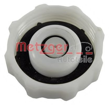 Buson,vas expansiune RENAULT TRAFIC I bus (TXW) (1989 - 2001) METZGER 2140105 piesa NOUA