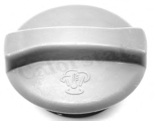 Buson,vas expansiune SEAT LEON (1M1) (1999 - 2006) CALORSTAT by Vernet RC0034 piesa NOUA