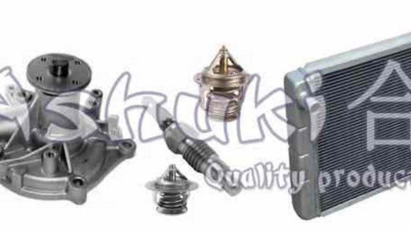 Buson vas lichid racire expansiune CHRYSLER 300 C LX CHRYSLER 05278697AA