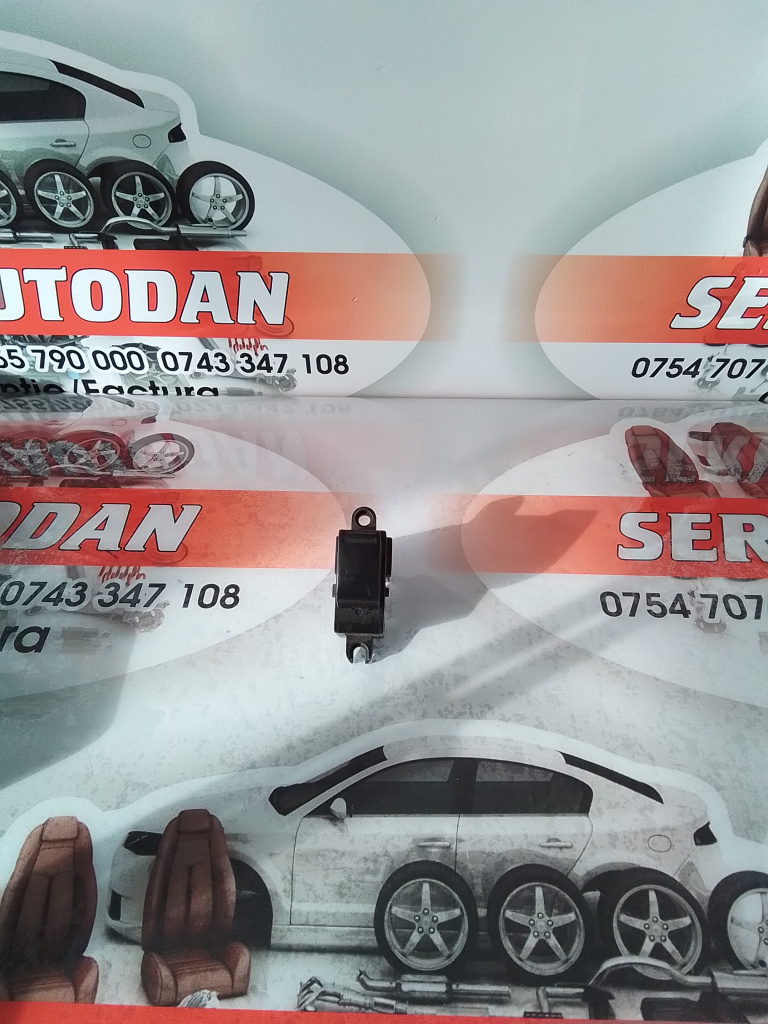 Butoane geam Nissan Primera (2002-2006) [P12] 2.0 Motorina 2002, 25411AV600