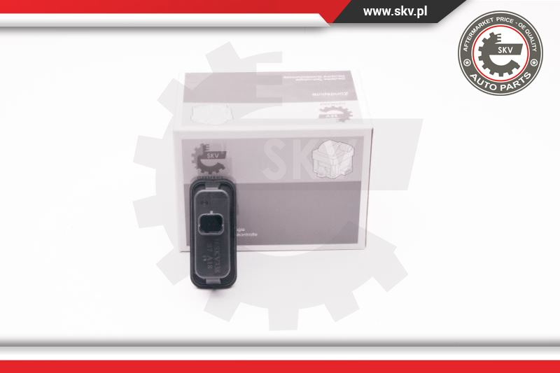 Buton deschidere haion ; RENAULT ; 8200076256