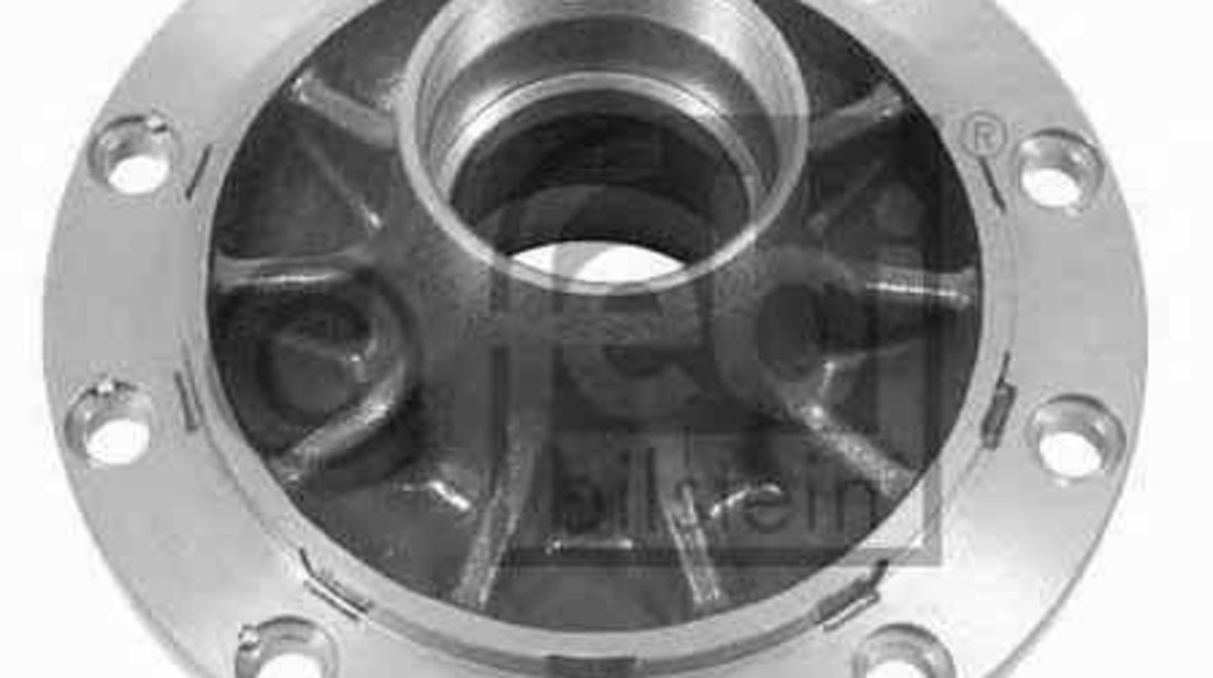 Butuc roata Producator FEBI BILSTEIN 06074