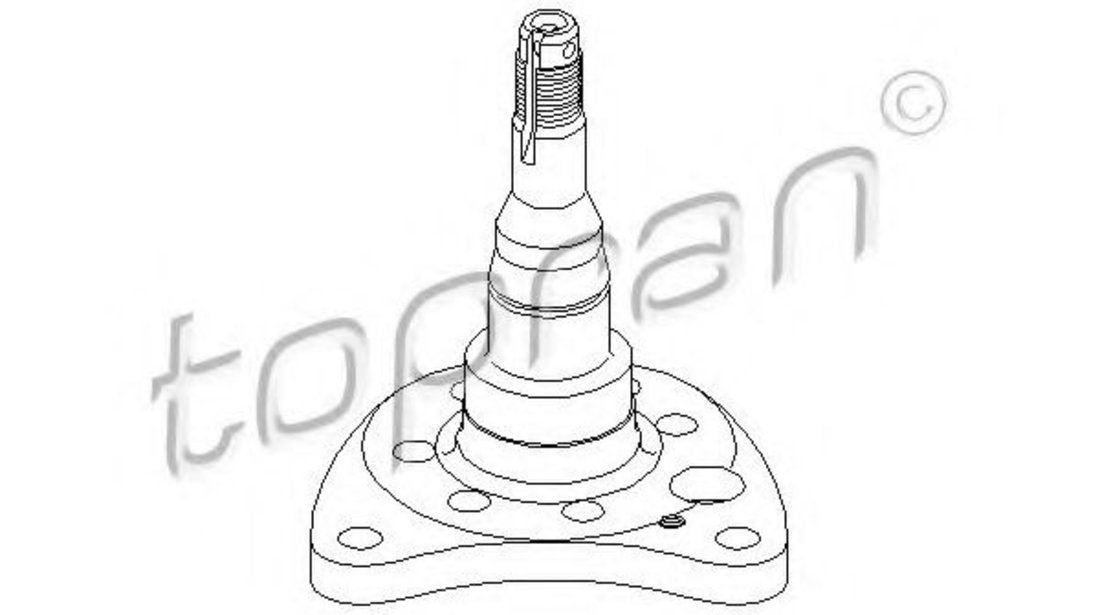 Butuc roata SEAT CORDOBA (6K1, 6K2) (1993 - 1999) TOPRAN 102 820 piesa NOUA