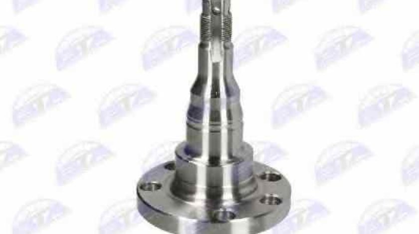 Butuc roata SEAT CORDOBA Vario 6K5 BTA H5W004BTA