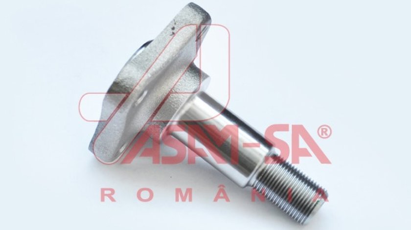 BUTUC ROATA SPATE Logan FACELIFT ASAM 32154 <br>
