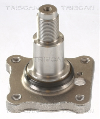 Butuc Roata Triscan Ford 8535 16007