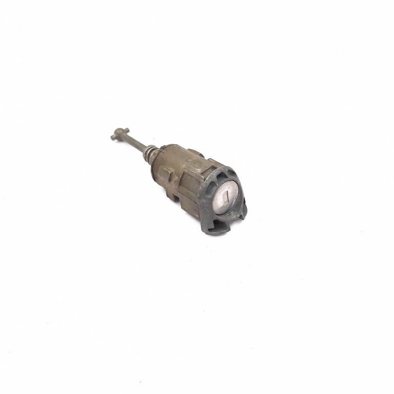 Butuc Usa Fata Stanga Renault Megane 2 2002-2010