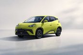BYD Dolphin Surf