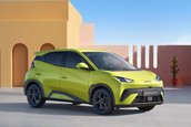 BYD Dolphin Surf