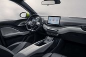 BYD Dolphin Surf
