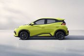 BYD Dolphin Surf
