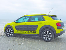 C4 Cactus