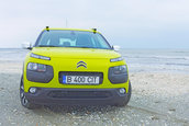 C4 Cactus