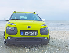 C4 Cactus