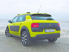 C4 Cactus