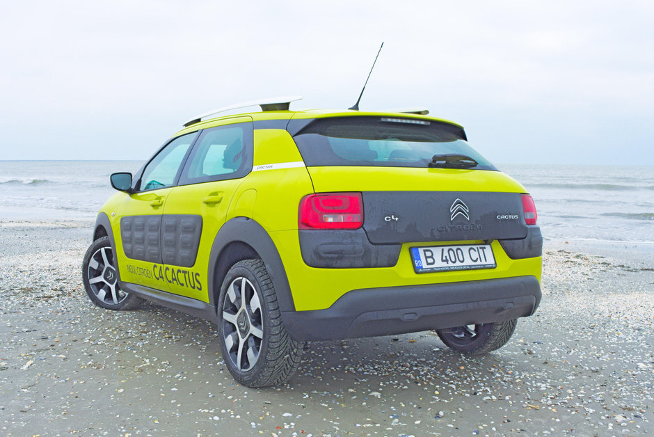 C4 Cactus