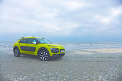 C4 Cactus