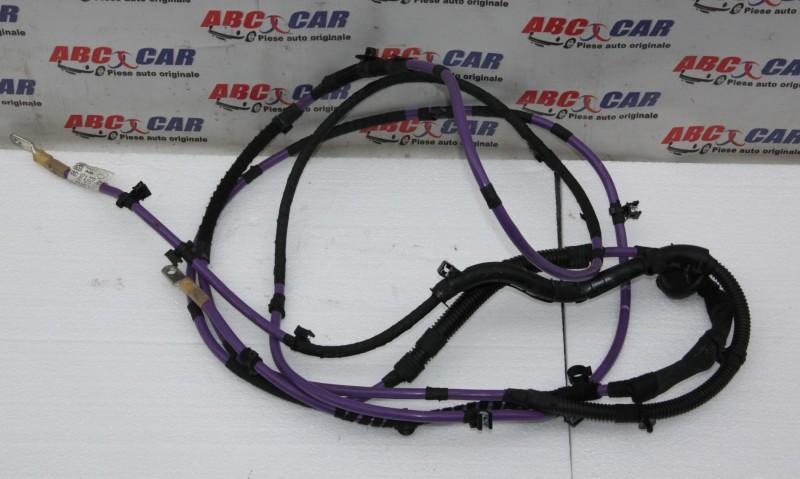 Cablaj baterie Audi A8 2009-2017 4H D4 4N0971227AM