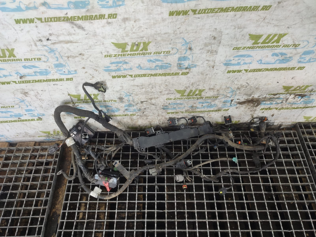 Cablaj electric 34EB014 SsangYong Korando 3 [2010 - 2013] 2.0 e-xdi D20DTF