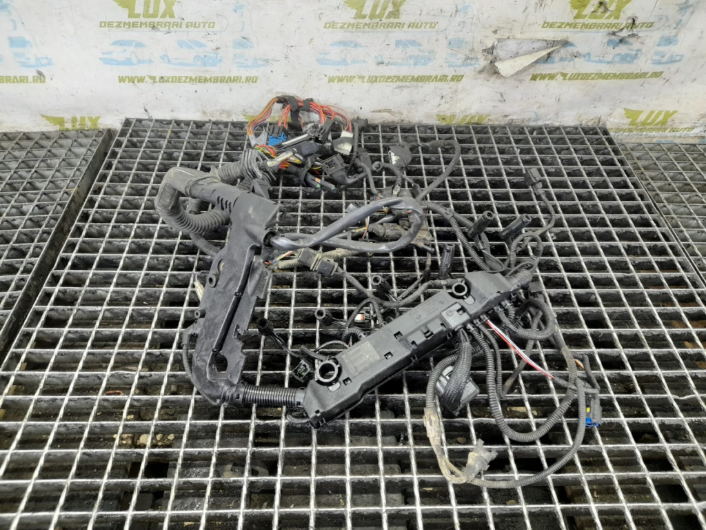 Cablaj electric 53781210 BMW X5 E70 [2006 - 2010] 3.0 d M57N2