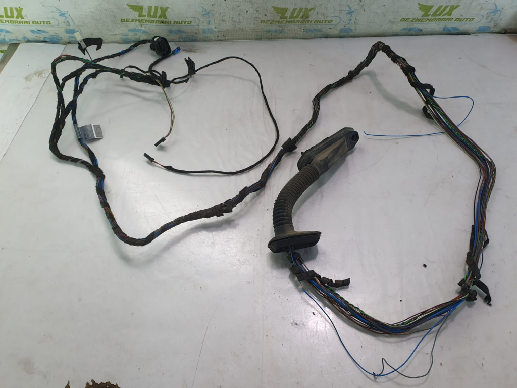 Cablaj electric 9116977 BMW X5 E70 [2006 - 2010] 3.0 d M57N2