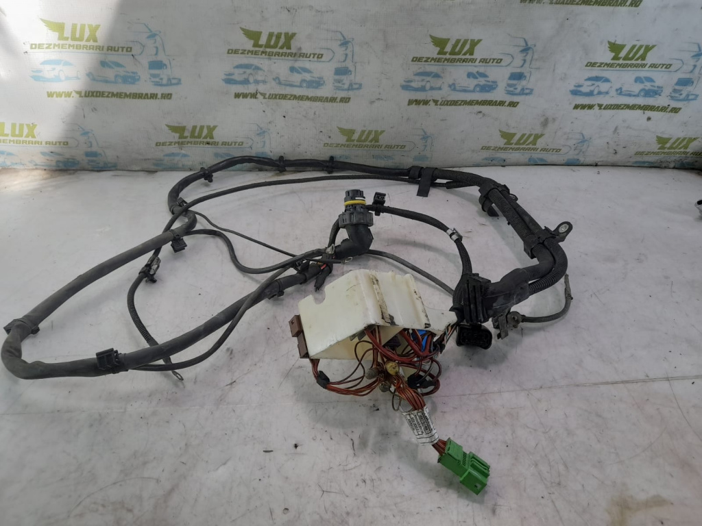 Cablaj electric BMW X4 F26 [2014 - 2018] 3.0 d N57D30B