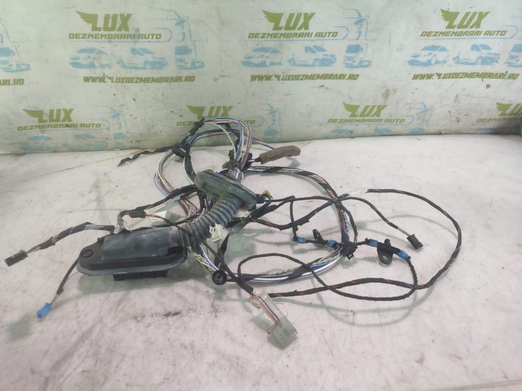 Cablaj electric usa stanga spate 9315130 BMW X4 F26 [2014 - 2018] 3.0 d N57D30B