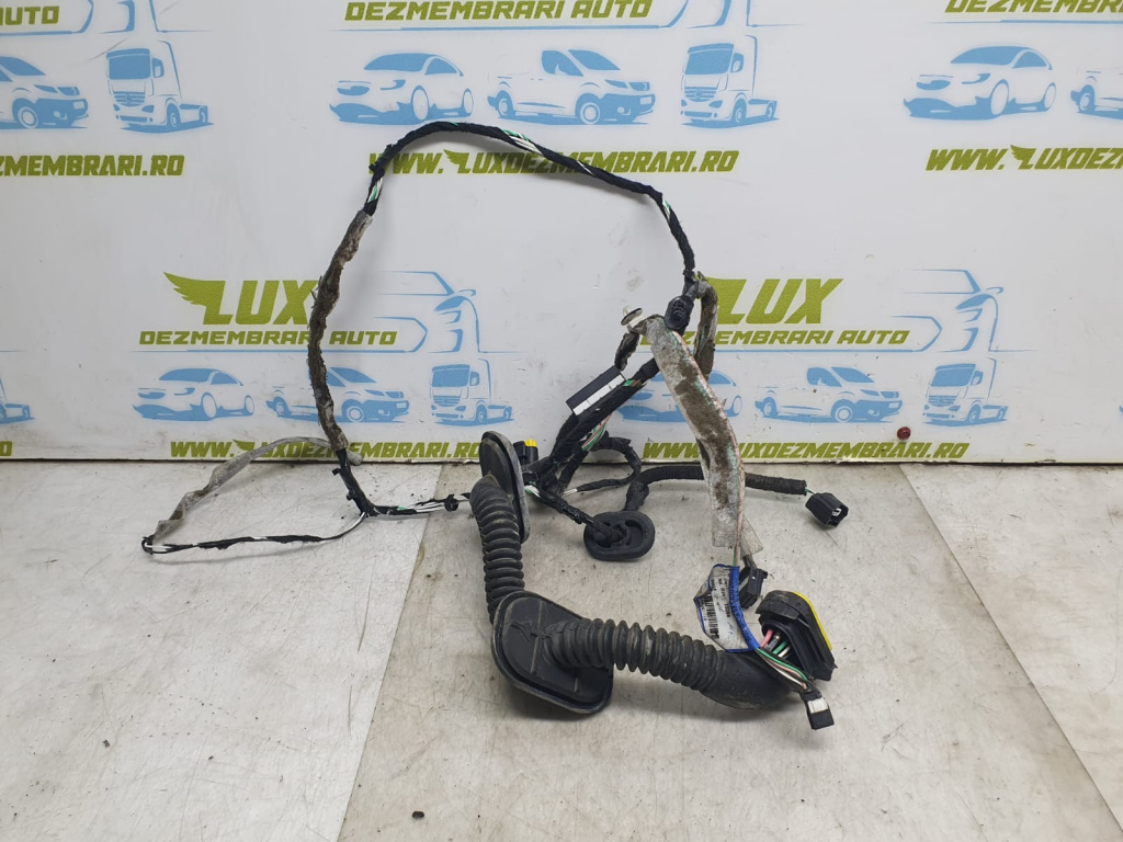 Cablaj instalatie 241250116r Renault Laguna 3 [2007 - 2011] 2.0 dci m9r