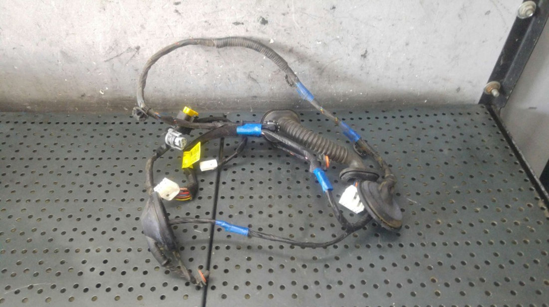 Cablaj instalatie electrica usa dreapta spate hyundai santa fe 2 cm 916602b010 919803k040