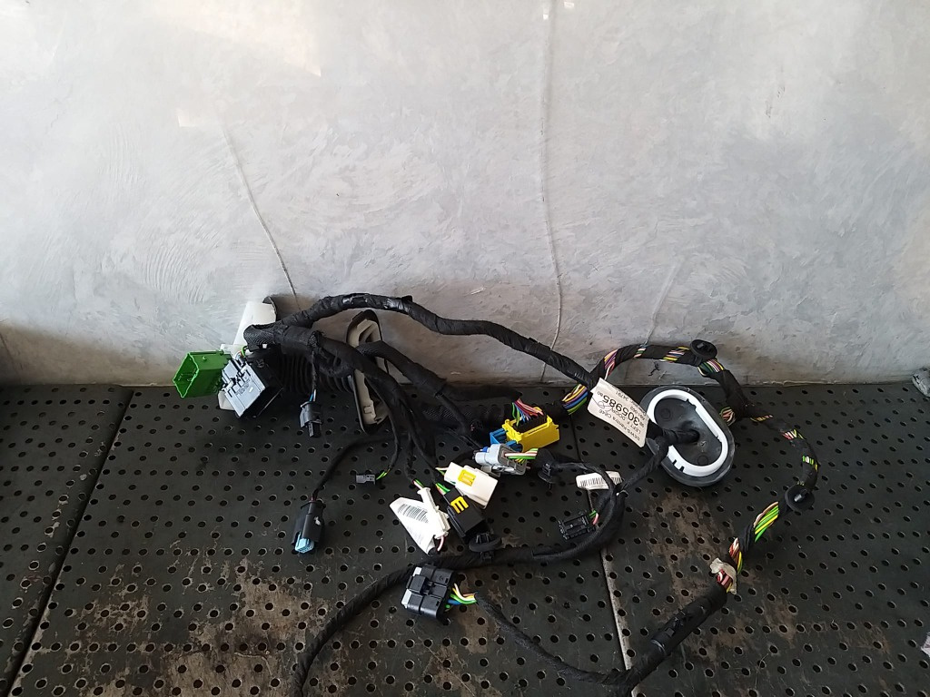 Cablaj instalatie electrica usa stanga f