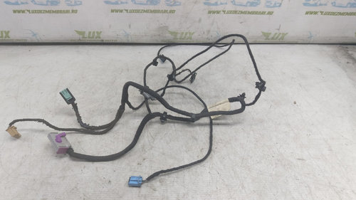 Cablaj instalatie usa fata Ts1500400053136 Volkswagen VW Passat B6 [2005 - 2010]