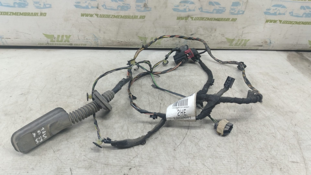 Cablaj instalatie usa spate 13238681 Opel Insignia A [2008 - 2014]