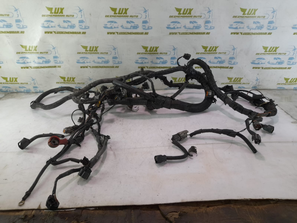 Cablaj motor 2.5 dci YD25DDti Nissan Pathfinder R51 [2004 - 2010] 2.5 dci YD25DDti