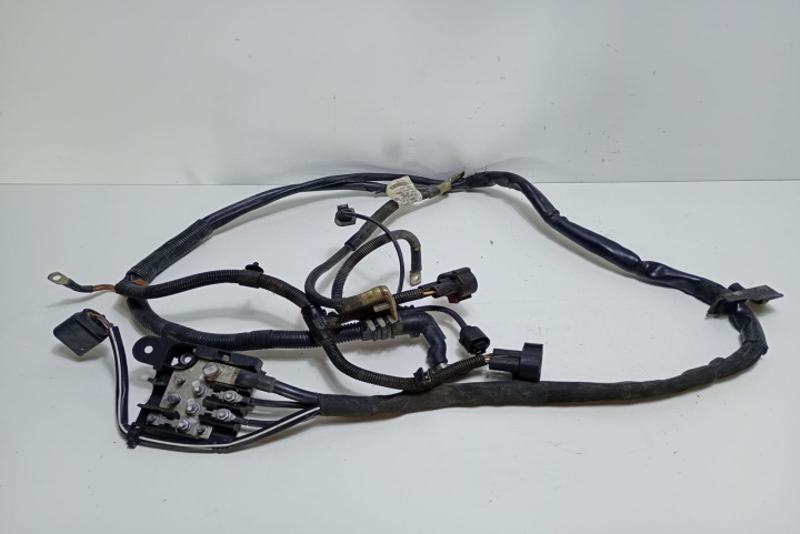 Cablaj motor 3.0 tdi 8K1971228F Audi A4 B8/8K [2007 - 2011]