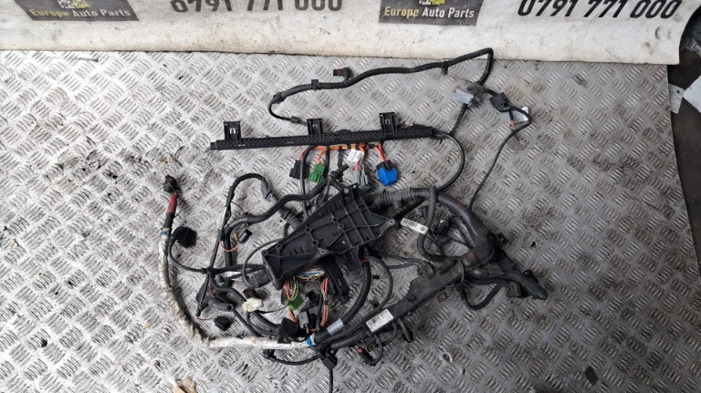 Cablaj motor BMW seria 3 E90 E91 E92 E93 2.0 D, cod motor N47 an 2010 cod 7802170-07