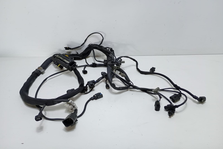 Cablaj motor instalatie electrica 2.0 d A6401501933 Mercedes-Benz A-Class W169 [2004 - 2008]