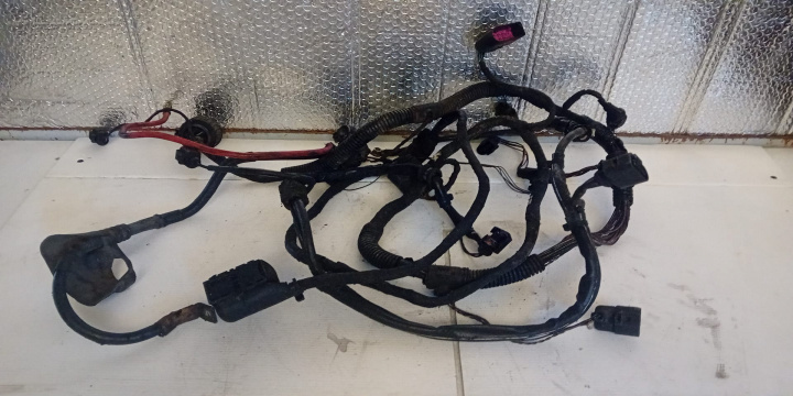 Cablaj motor intact Volkswagen VW Passat B6 [2005 - 2010] wagon 5-usi 2.0 TDI MT (140 hp)