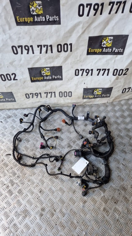 Cablaj motor Opel Insignia 2.0 CDTI an fab. 2009 cod motor A20DTH cod 13296034