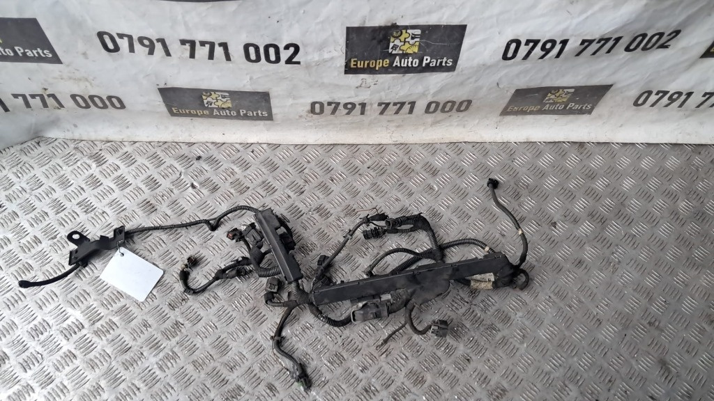 Cablaj motor Opel Meriva 1.6 16V Z16XEP an 2006 cod 55556003